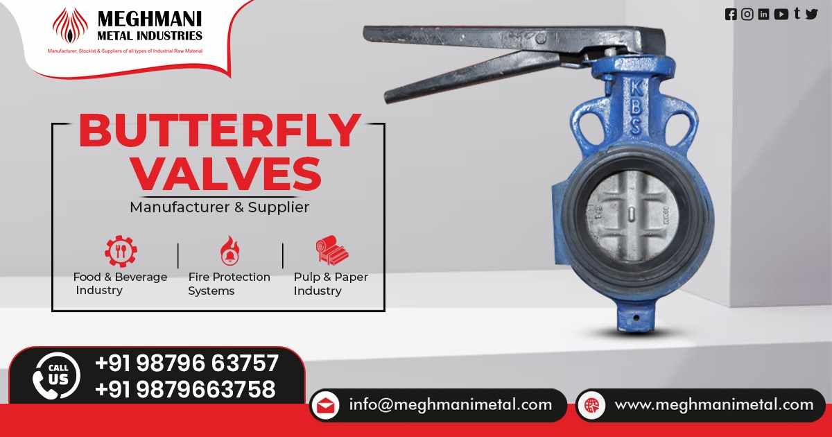 Butterfly Valve in Rajasthan