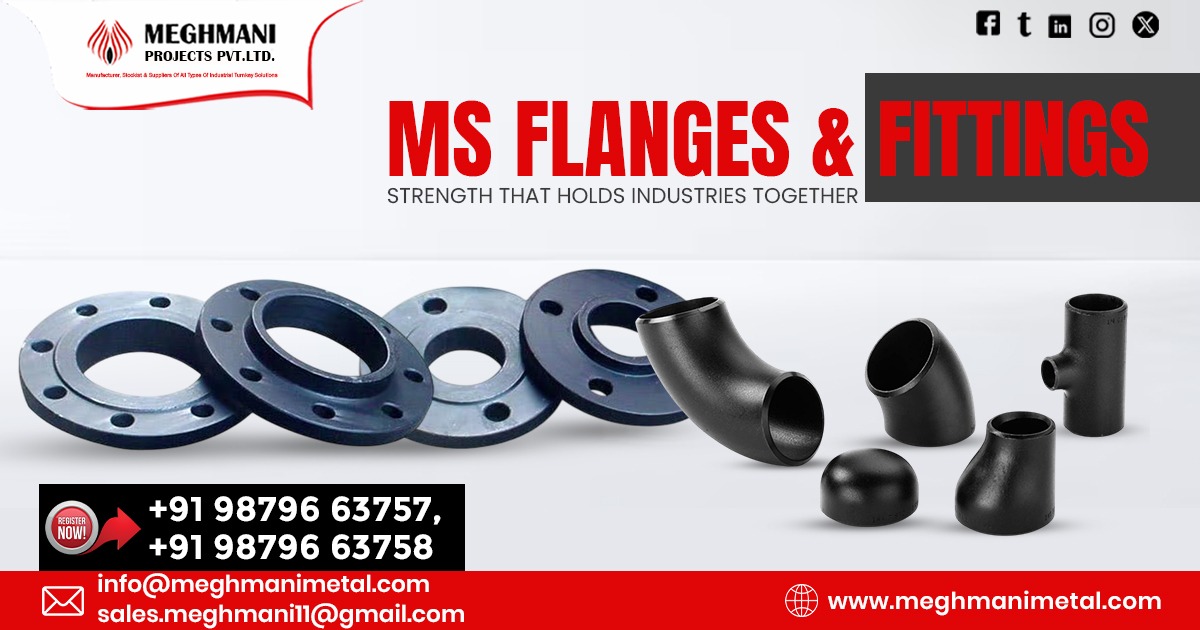 MS Flanges and Fittings in Rajasthan