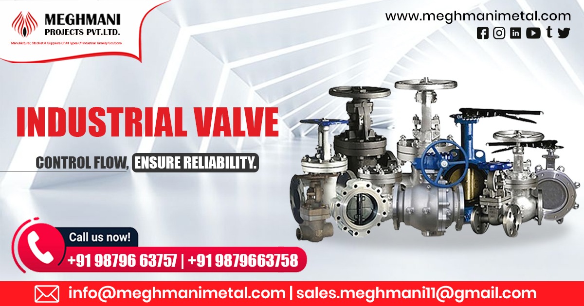 Industrial Valve in India