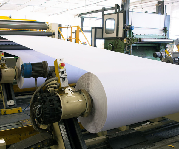 Paper & Pulp Mills