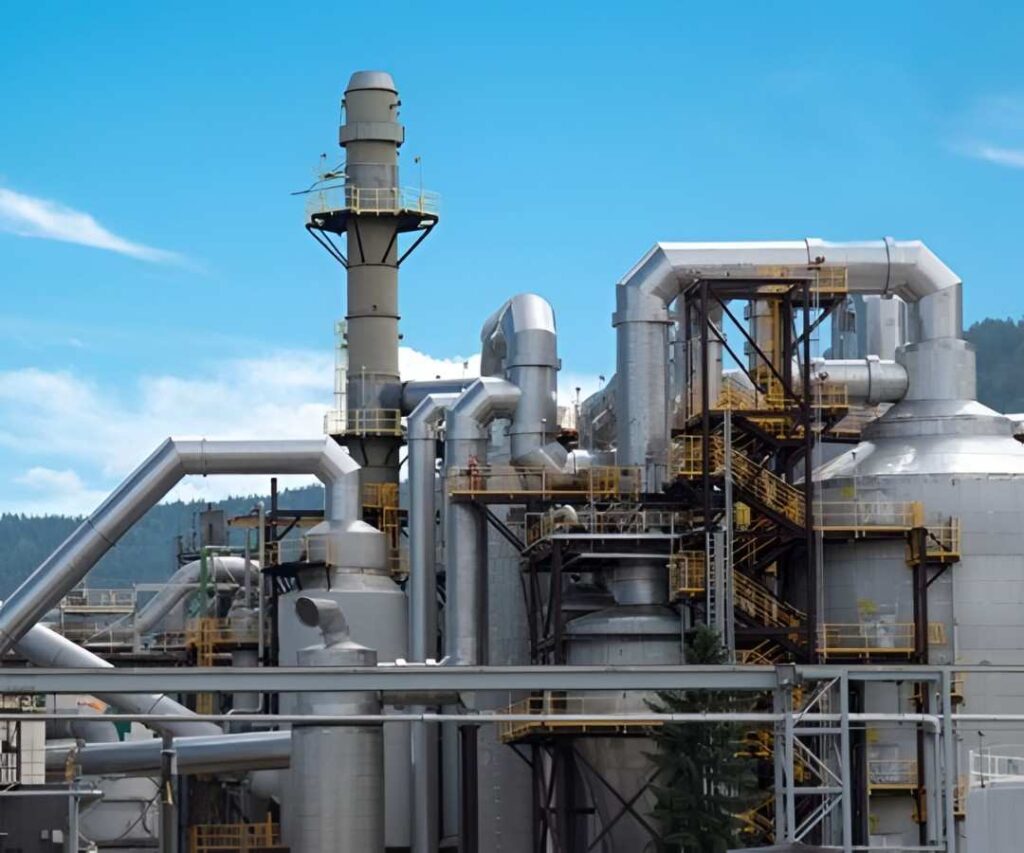 Paper & Pulp Mills